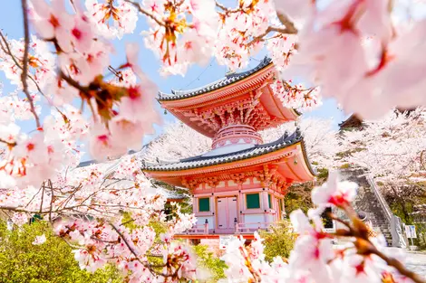 Pagode au sommet du mont Tsubosaka, célèbre pour ses cerisiers en fleurs Pagode au sommet du mont Tsubosaka, célèbre pour ses cerisiers en fleurs