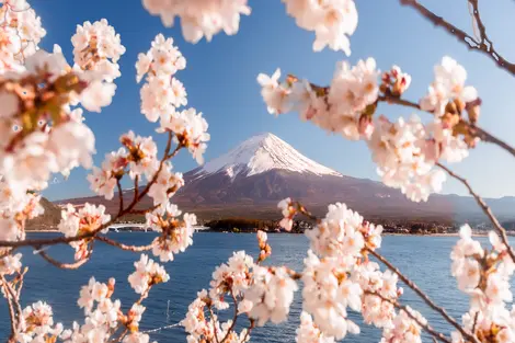 Mount Fuji from Lake Kawaguchi