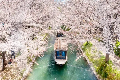 Le chemin de la philosophie au printemps à Kyoto Le chemin de la philosophie au printemps à Kyoto