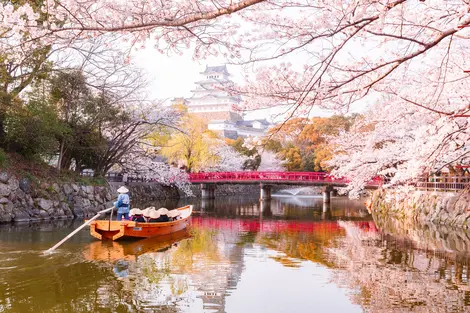 Château de Himeji, site du patrimoine mondial, sous les cerisiers en fleurs Château de Himeji, site du patrimoine mondial, sous les cerisiers en fleurs