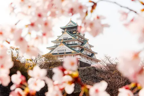 Le majestueux château d'Osaka au printemps Le majestueux château d'Osaka au printemps