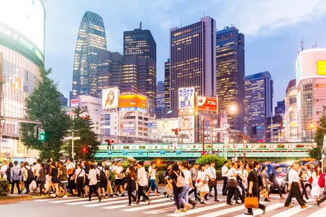Shibuya, le croisement le plus célèbre du monde ! Shibuya, le croisement le plus célèbre du monde !