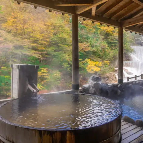 Onsen avec vue sur la forêt Onsen avec vue sur la forêt