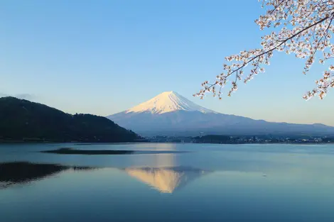 Mount Fuji from Kawaguchiko