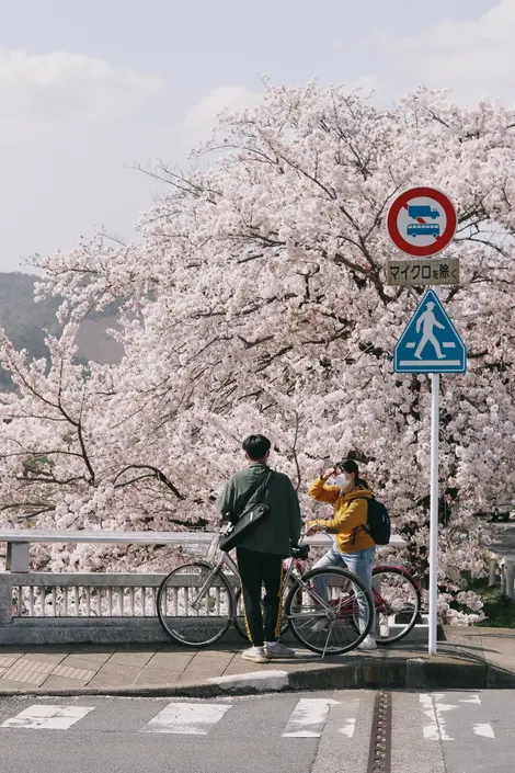 kyoto - Bicycle ride kyoto - Bicycle ride