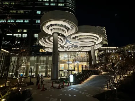 Exterior of Tower Plaza at night 