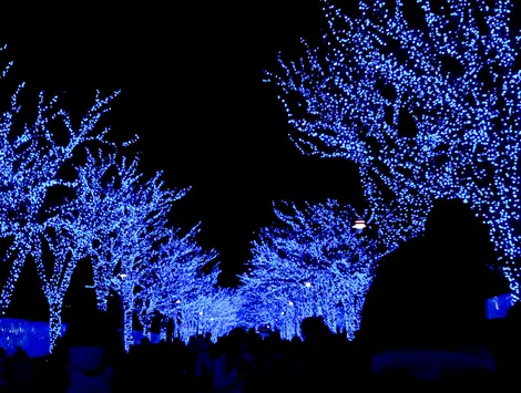 Illuminations à Shibuya