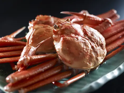 Snow Crab of Kinosaki