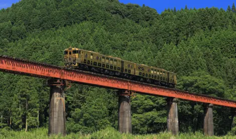 The Joyful Train 