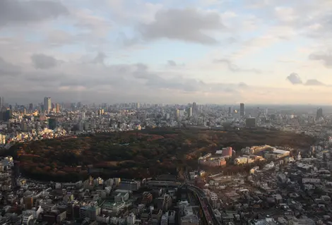 Yoyogi Park, Tokyo