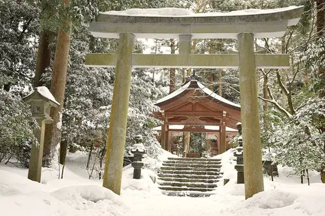 Niigata in Winter