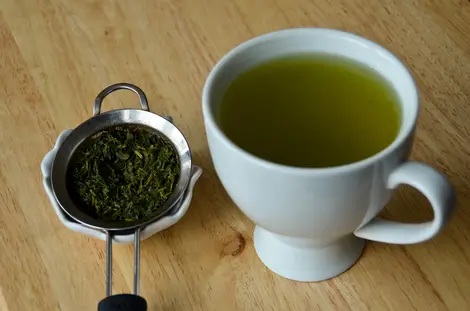 Sencha
