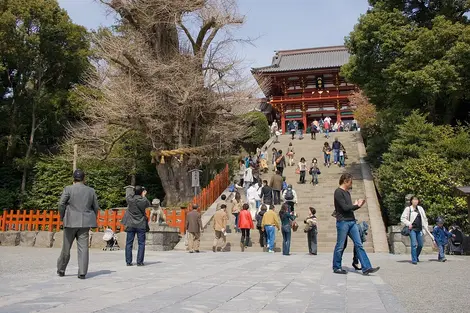 Tsurugaoka Hachiman Jingu