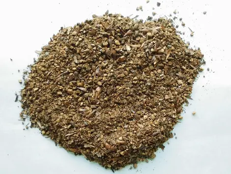 Mugicha