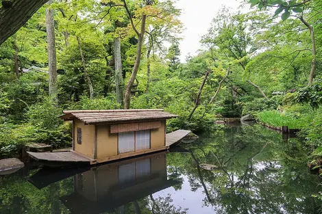 Nezu Museum Garden
