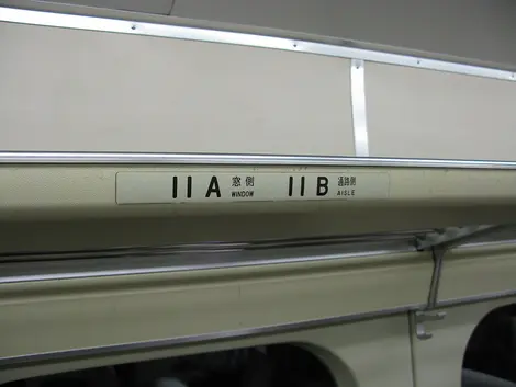 Overhead Luggage Compartment