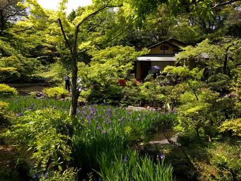 Nezu Museum Garden
