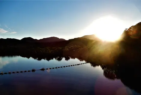 Summer at Lake Nanatsumori, Miyagi