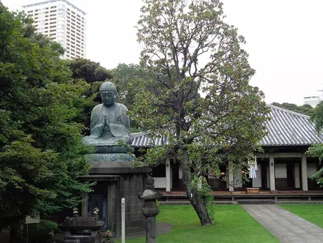 Tennoji, Yanaka