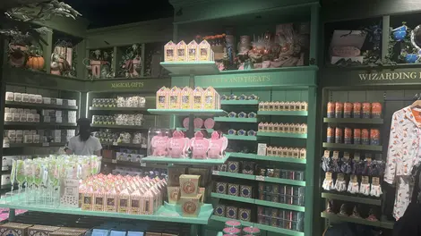 Confiseries - Harry Potter Harajuku