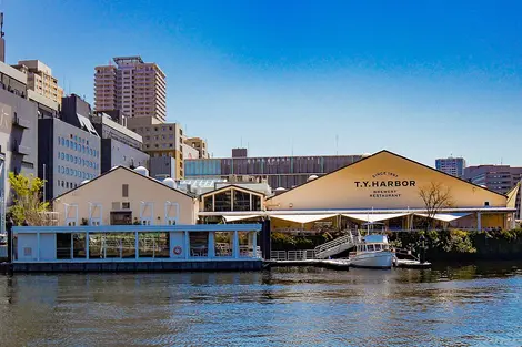 T.Y. Harbor