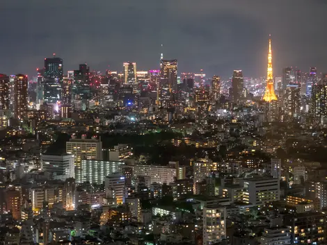Tokyo from Yebisu Garden Place Tower