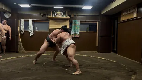 Entrainement de sumo (Ryogoku, Tokyo)