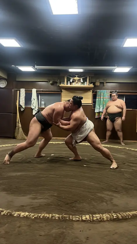 Entrainement de sumo (Ryogoku, Tokyo)