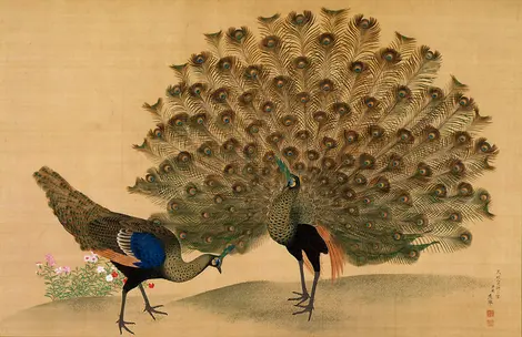 Maruyama Okyo, Paon (1781) Maruyama Okyo, Paon (1781)
