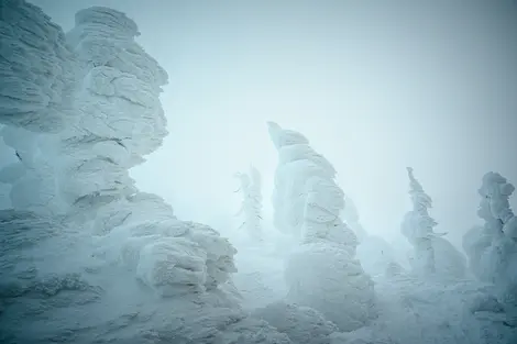 "Snow Monters" at Zao