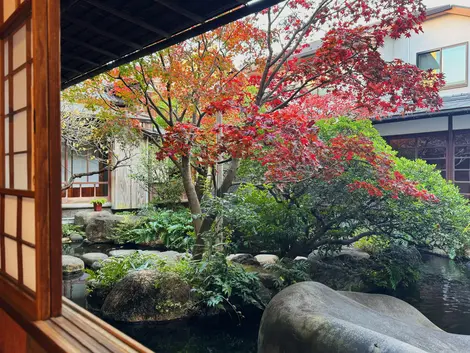 Garden with momiji at Asakura Museum of Sculpture