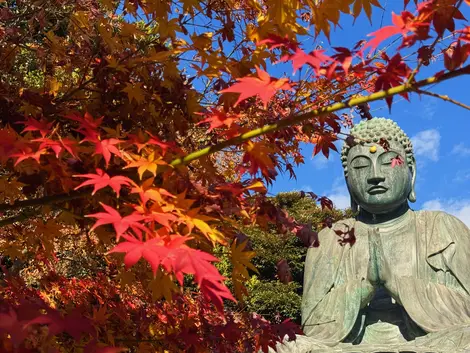 Daibutsu at Tennoji