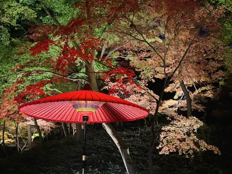 Rikugien Autumn Illumination