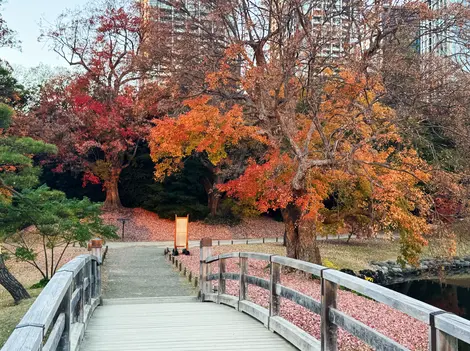 Bridge by Nakajima-no-ochaya