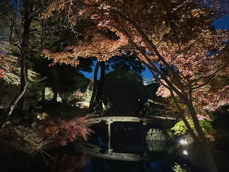 Rikugien Autumn Illumination