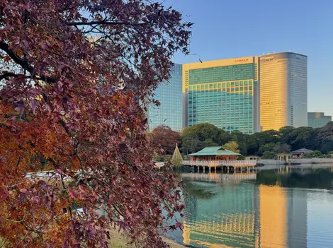 Nakajima-ocha-ya with the Conrad Tokyo in the background