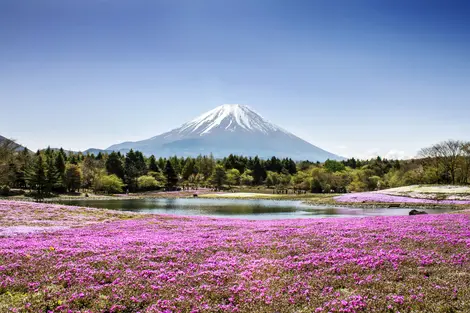 Mont fuji
