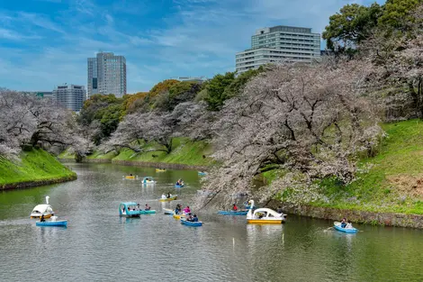 Chidorigafuchi (Tokyo)