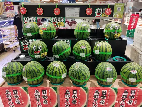Watermelon in Japan