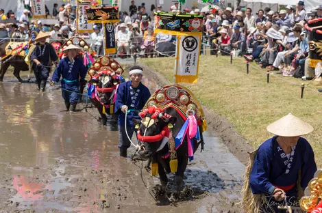 Mibu no Hana Taue