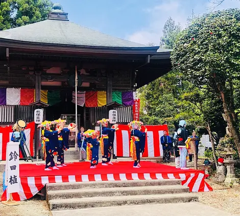 Mibu no Hana Taue