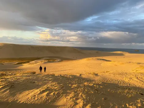 Dunes de Tottori 