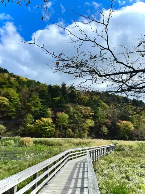 Randonnée à Senjogahara