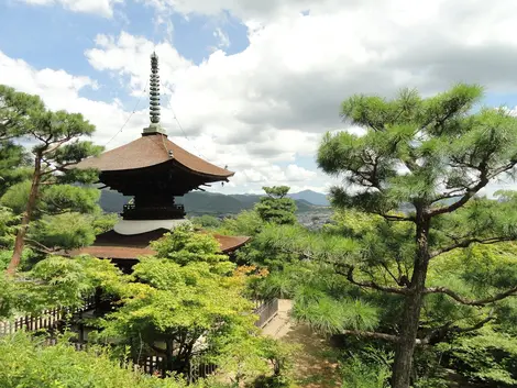 Jojakkoji