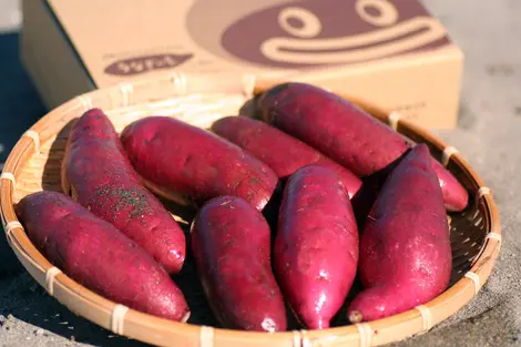 Japanese Sweet Potatoes