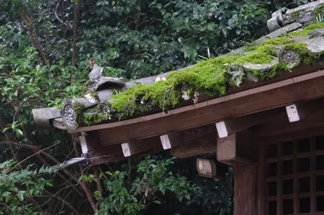 Ujigami-jinja