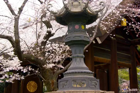 Il santuario Yasukuni-jinja a Tokyo è situato in un luogo consacrato alla Storia della guerra del Giappone.