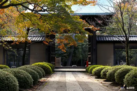 El templo  Gotoku-ji tal vez fue posible gracias a un gato que le salvó la vida a un noble. Desde entonces el manekineko es un emblema de Japón.