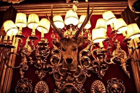 Une tête de cerf orne un mur de la boite de nuit Trump Room, aussi excentrique que le quartier de Shibuya.