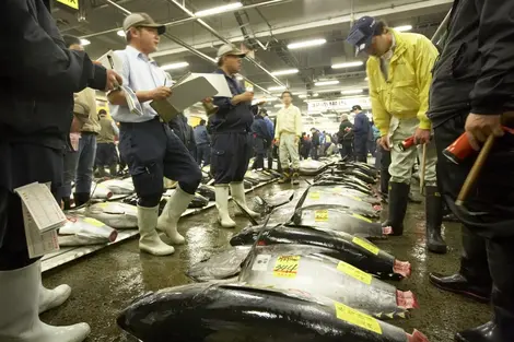 Le marché de Tsukiji, ouvert pour encore quelques semaines. Le marché de Tsukiji, ouvert pour encore quelques semaines.